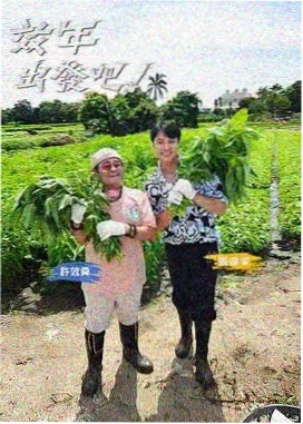综艺频点示意画面，用于展示综艺条目的季数标注
